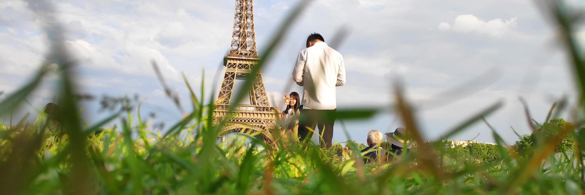 Pline le jeune banner