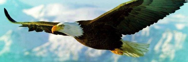 AskWorldWhy Profile Banner