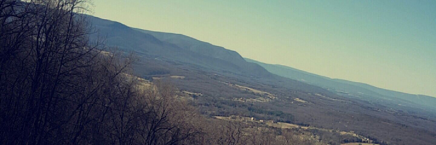 bre_milillo's profile banner image