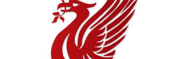 djc898's profile banner image