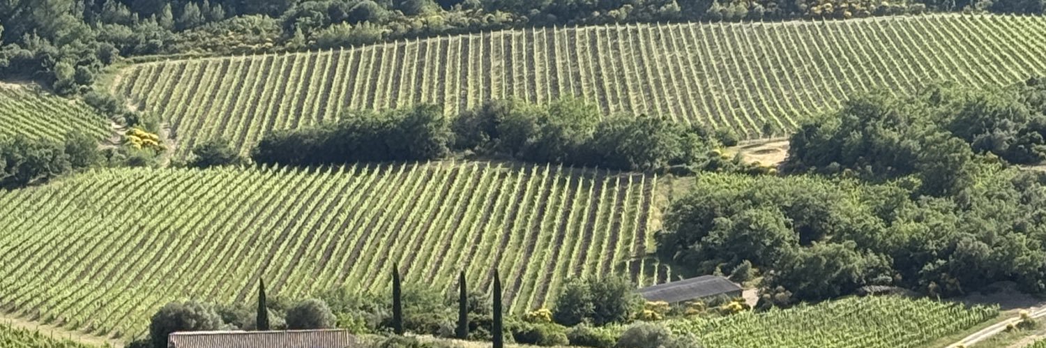 Matteo Zappile banner