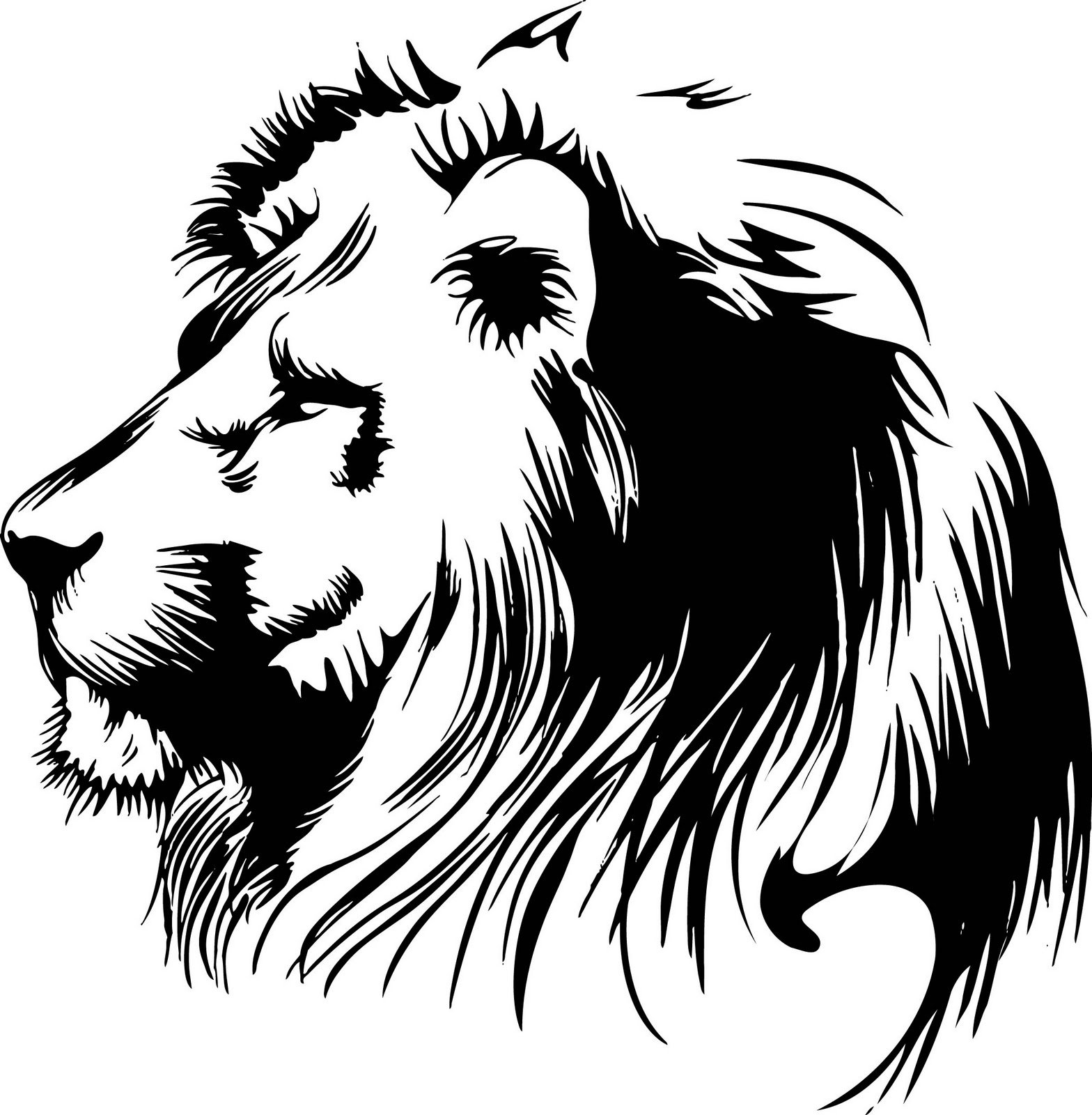 Paskallion's profile banner image