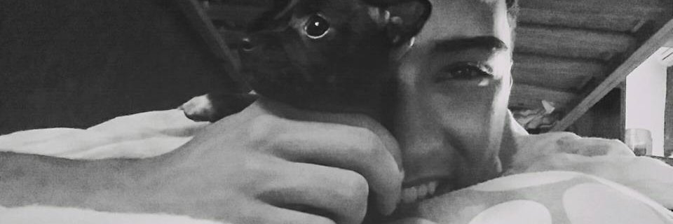 StevenGPalacio's profile banner image