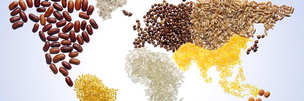 evavanderzee Profile Banner