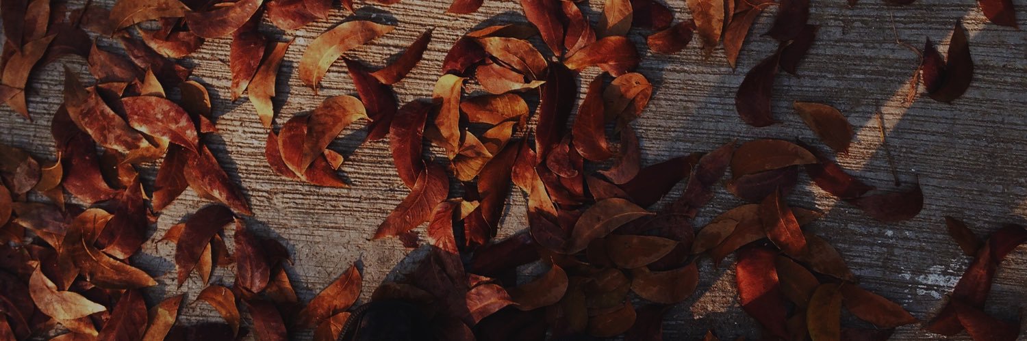 NathanGeronimo7's profile banner image