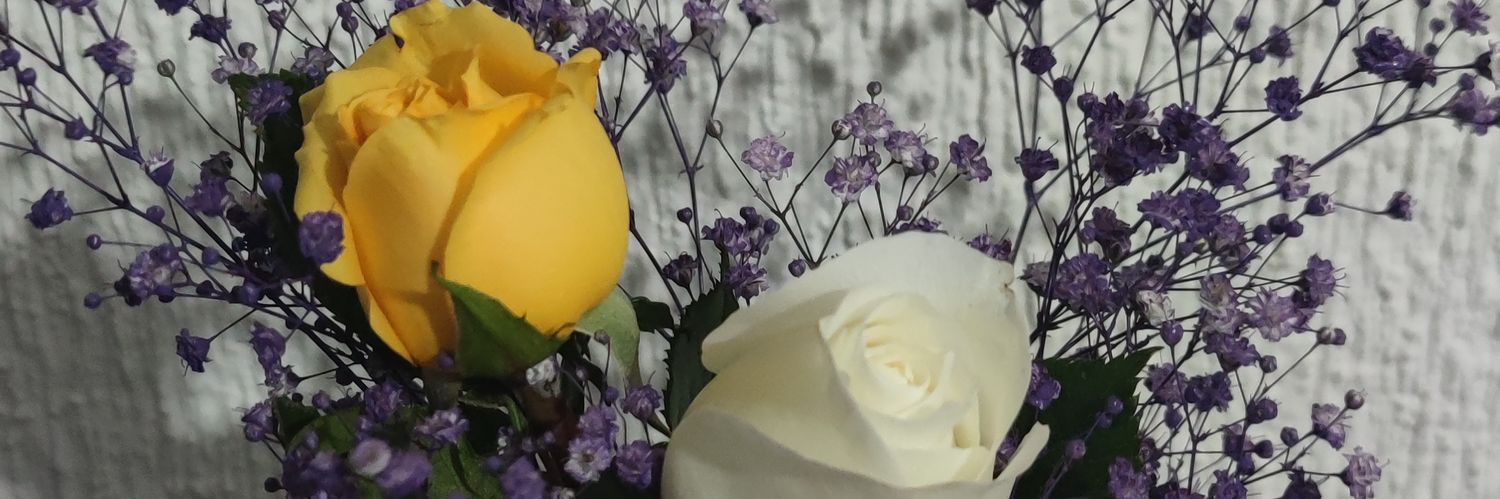 PauResendizp's profile banner image