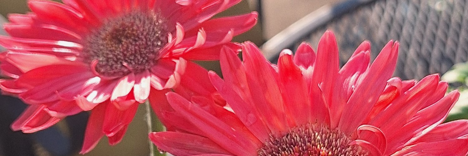Chelles29's profile banner image