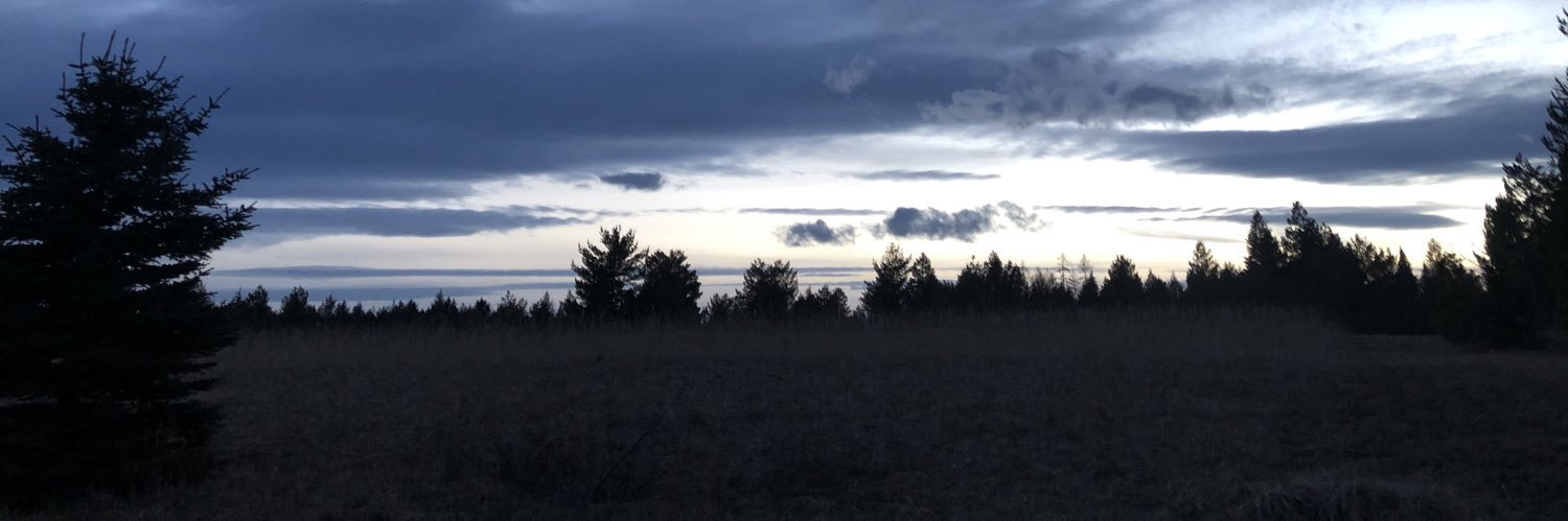 michellhoodie's profile banner image