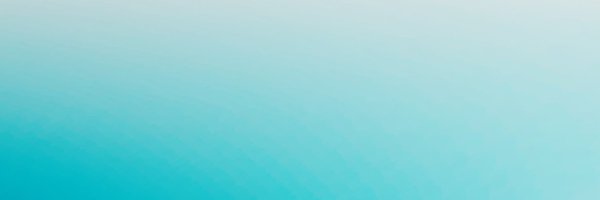 RachelLukowicz Profile Banner