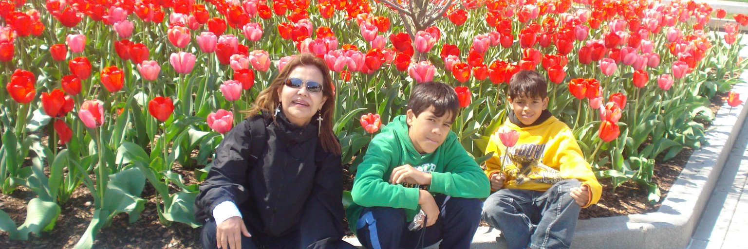 meraliavelasco's profile banner image