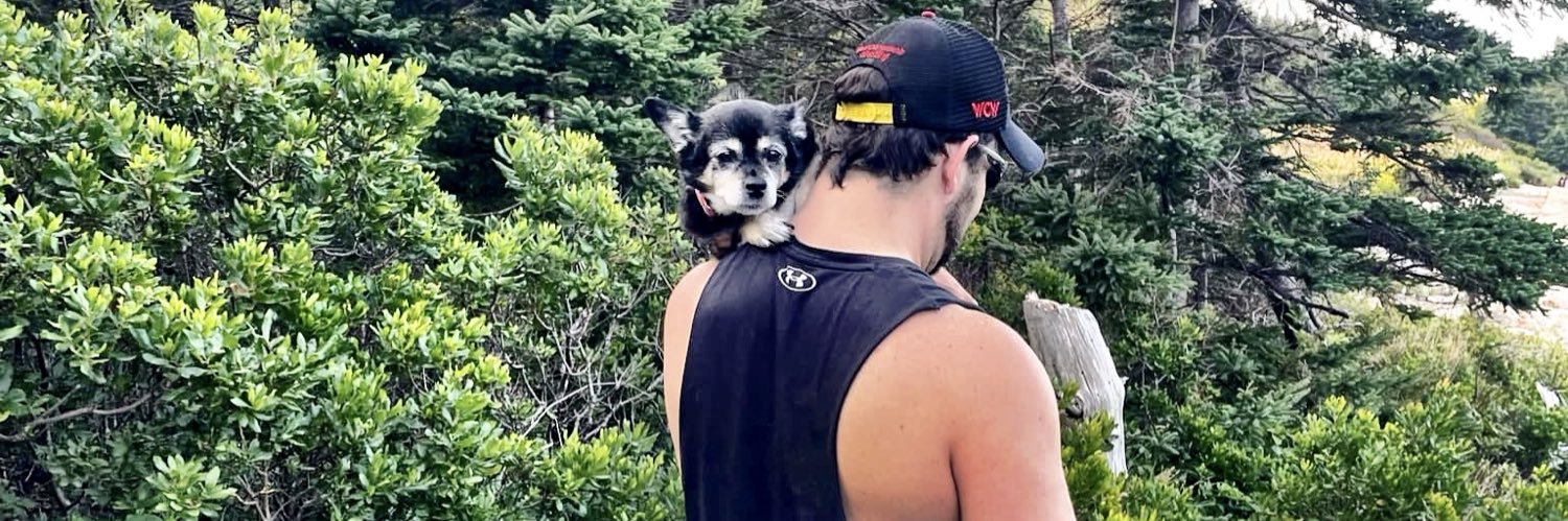 New Scott's banner