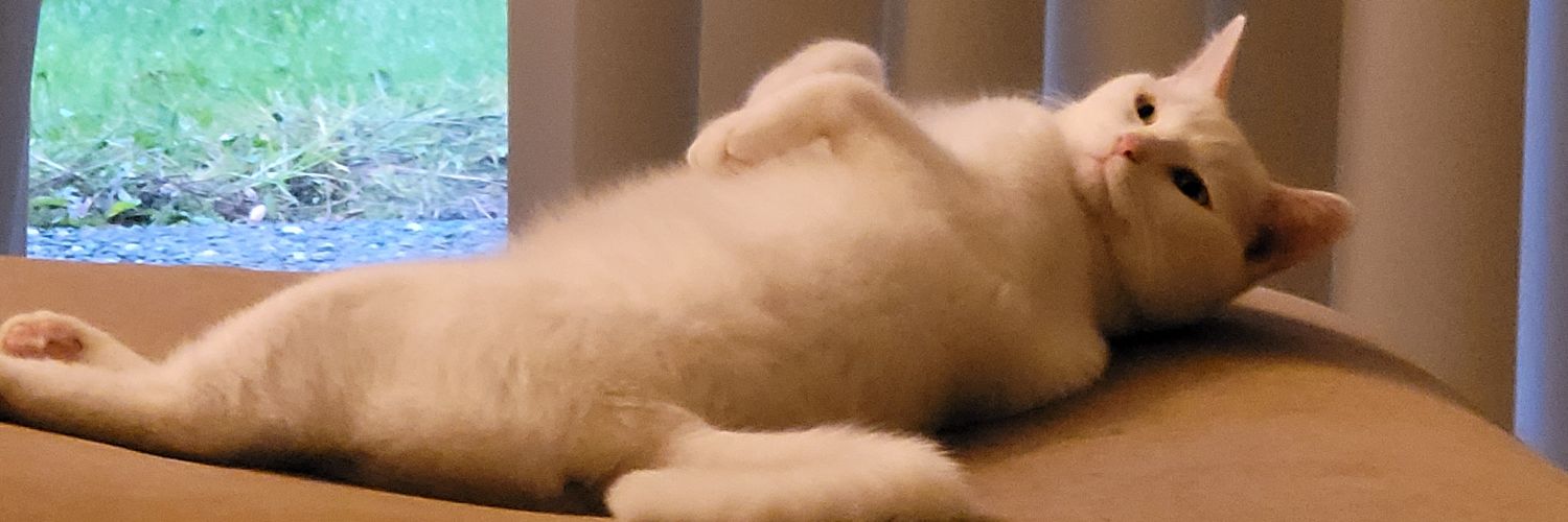 RealBubbleDaTea's profile banner image