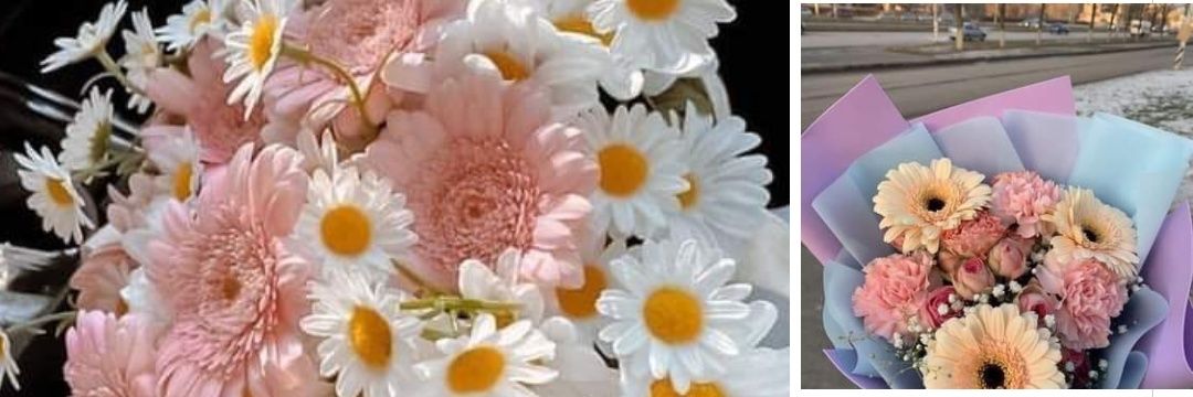 Feri_Feer's profile banner image