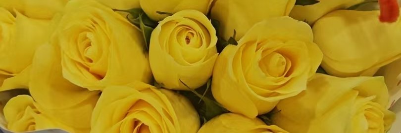 K100K_'s profile banner image