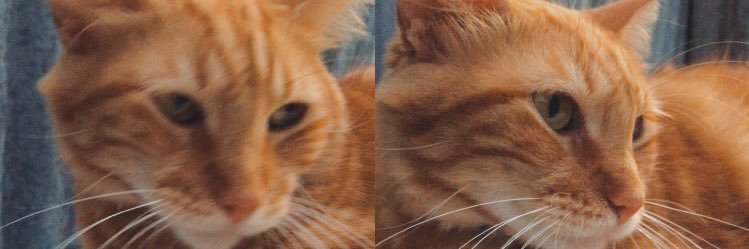 Rodri_guez18's profile banner image