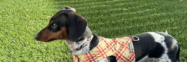 terryterrones Profile Banner