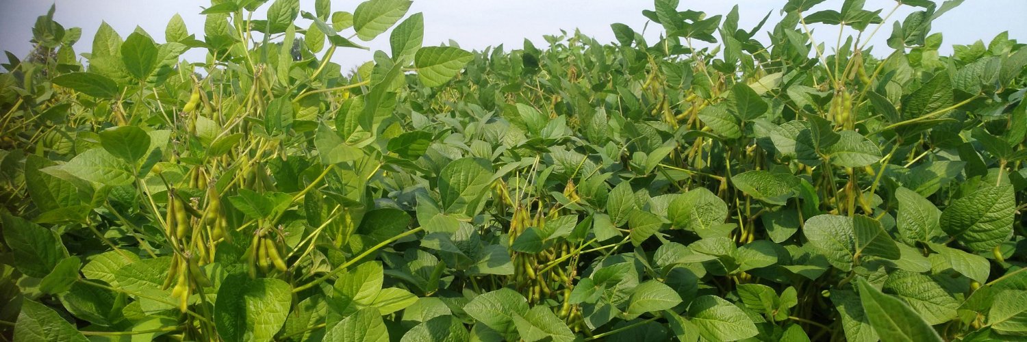 eventhorizon 🦙🌾🐮🚜🏡 banner