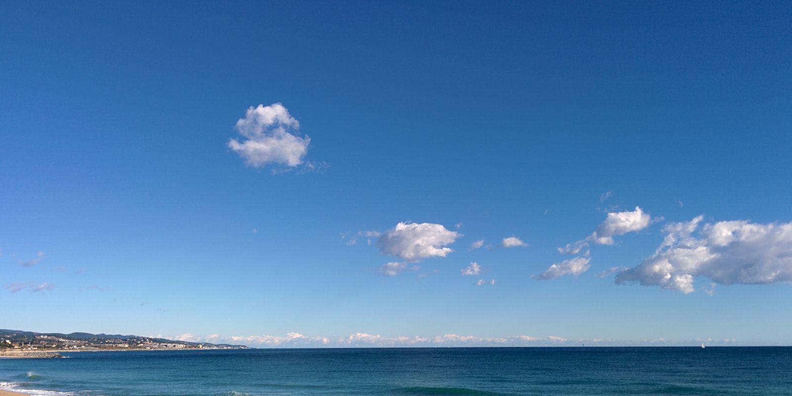 David Monreal banner