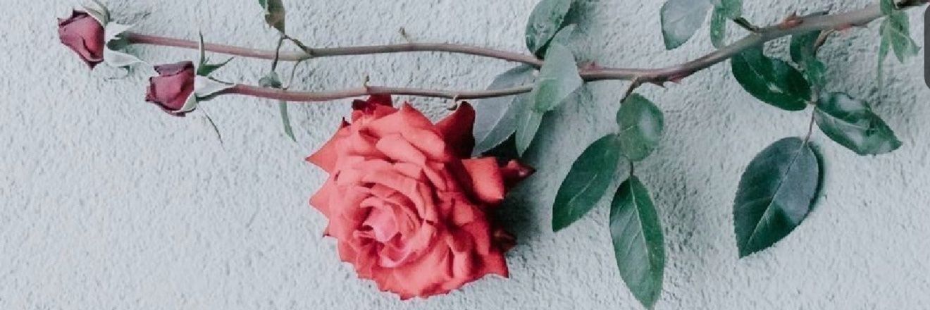 smoitra1999's profile banner image