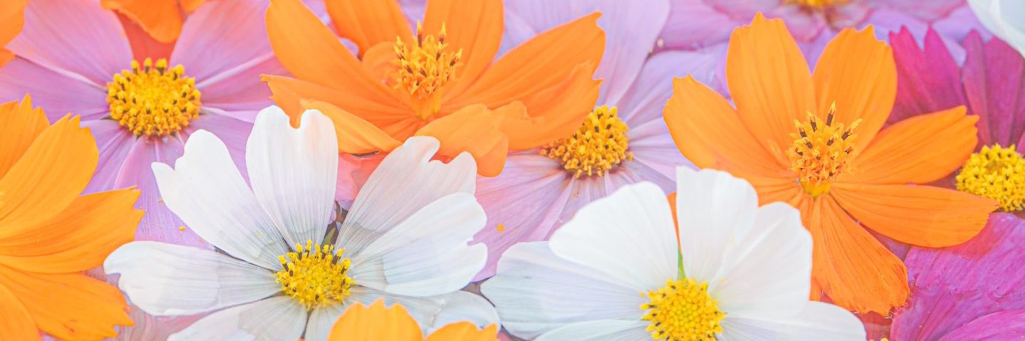 mio_o003's profile banner image
