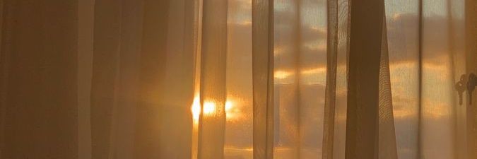 lynncove's profile banner image