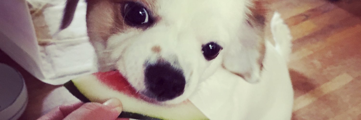 chibo329's profile banner image