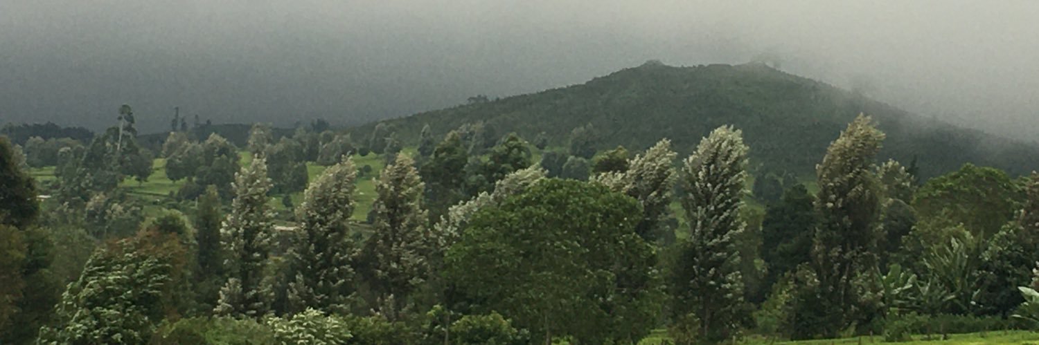kaswonoh's profile banner image