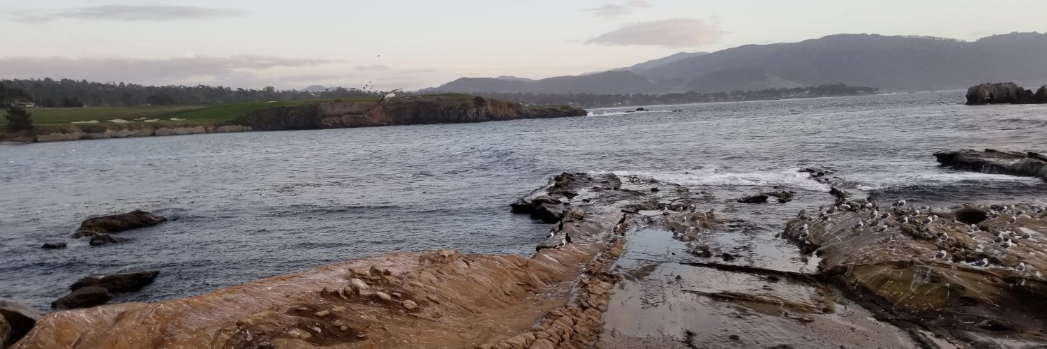 JoelDMole's profile banner image