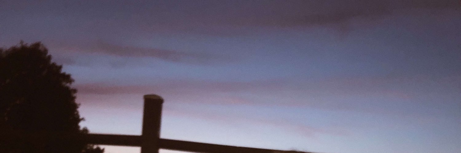 annieakessonn's profile banner image