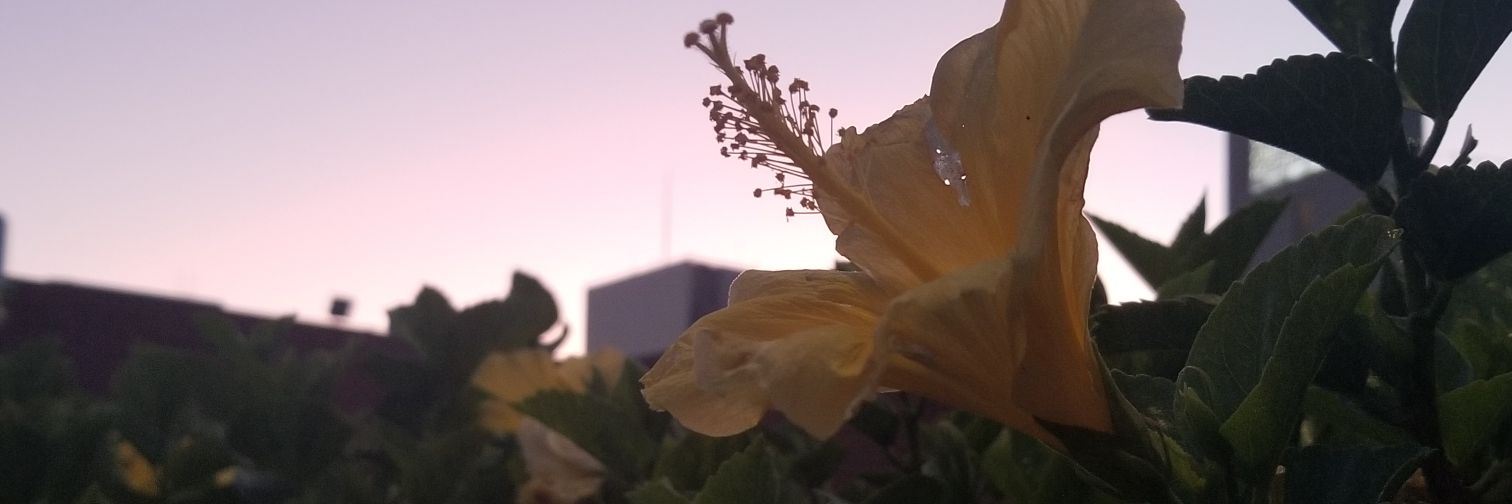 AhshayK's profile banner image