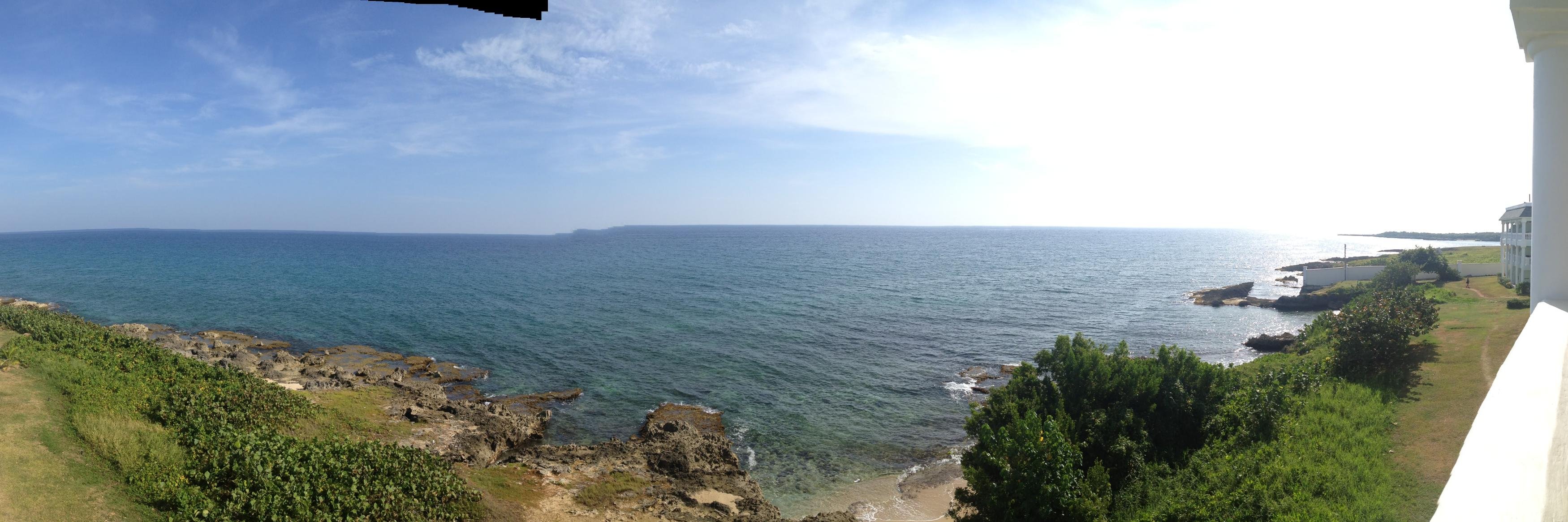 Danielle M. Burns banner