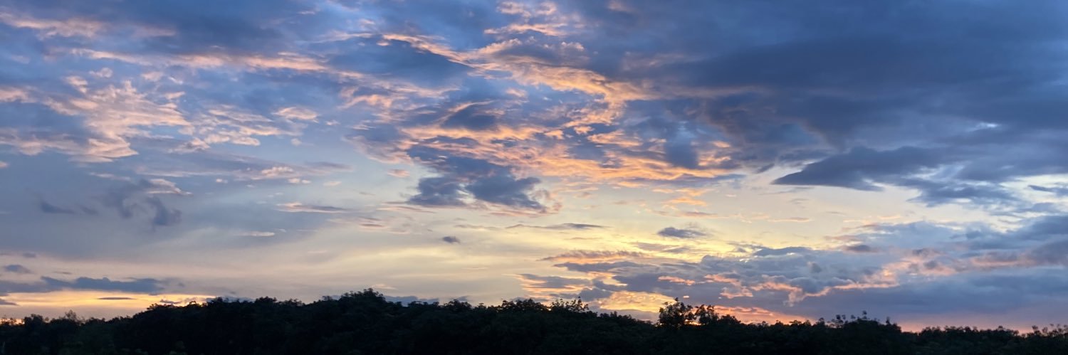 mdwinour's profile banner image