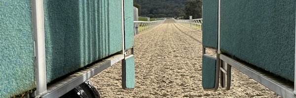 mickjcal Profile Banner