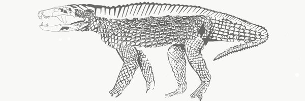 ananth_srinivas Profile Banner