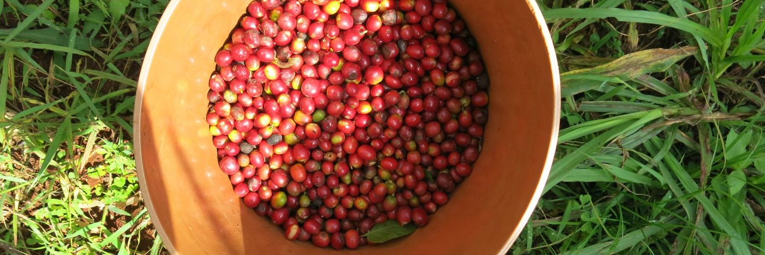 Karibu Kahawa Camps - Régine Guion-Firmin banner