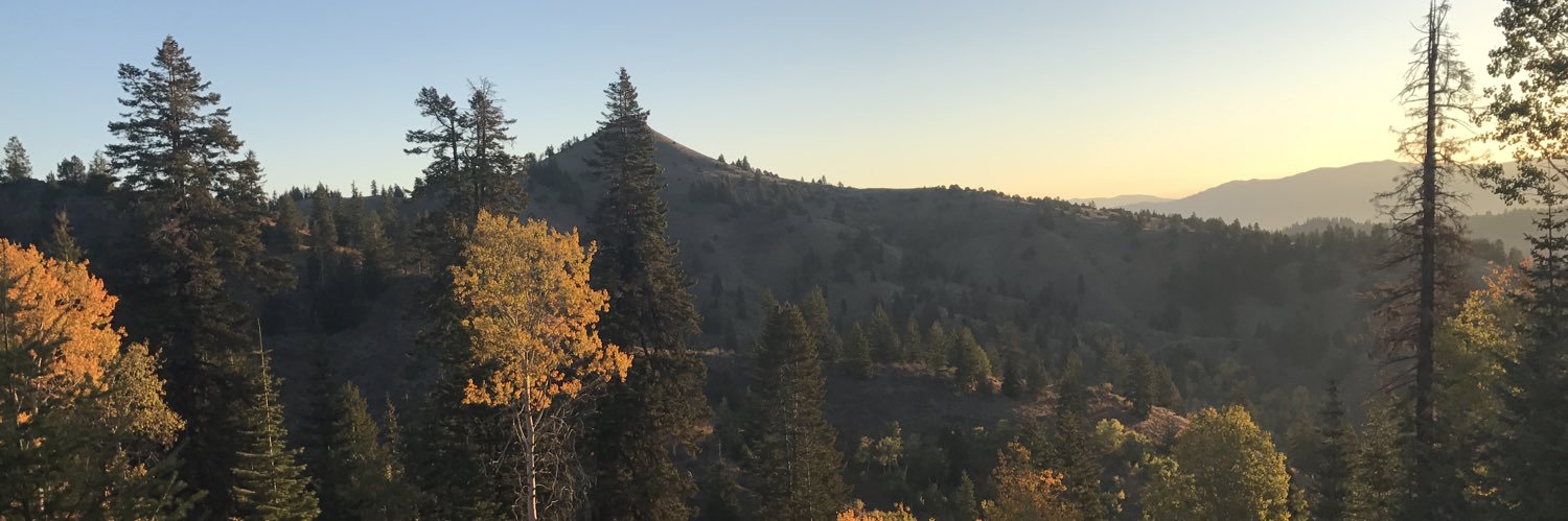 JackMBridges's profile banner image