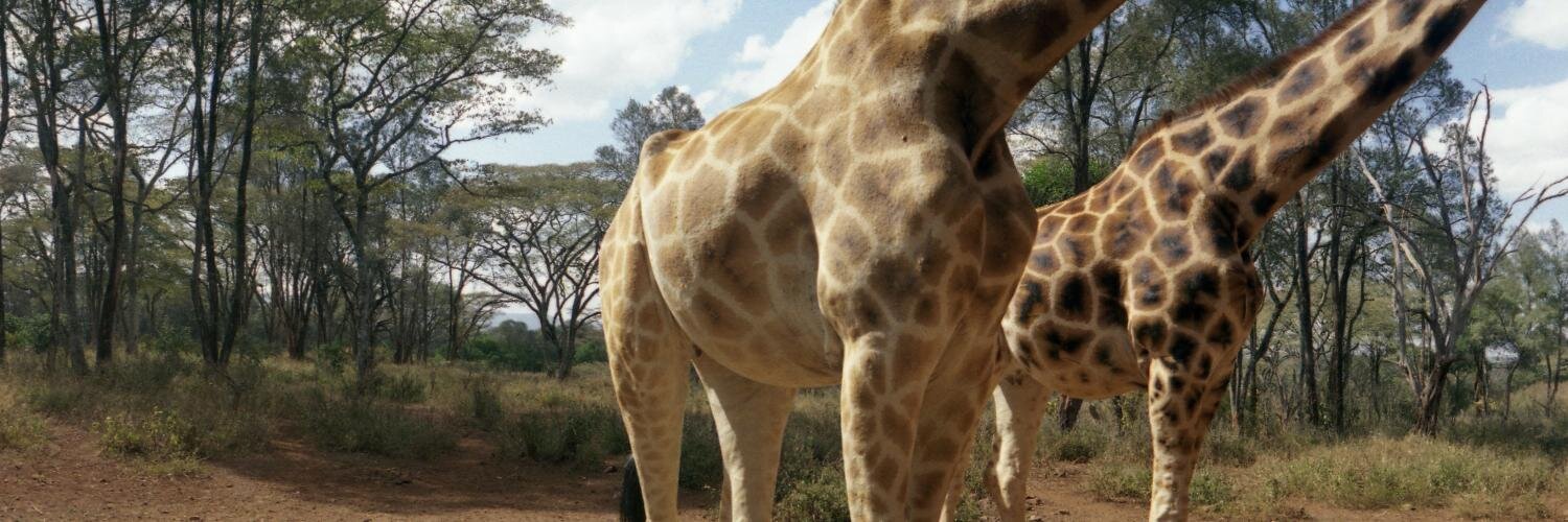 JEGography's profile banner image