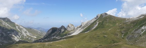 tommasoreggiani Profile Banner