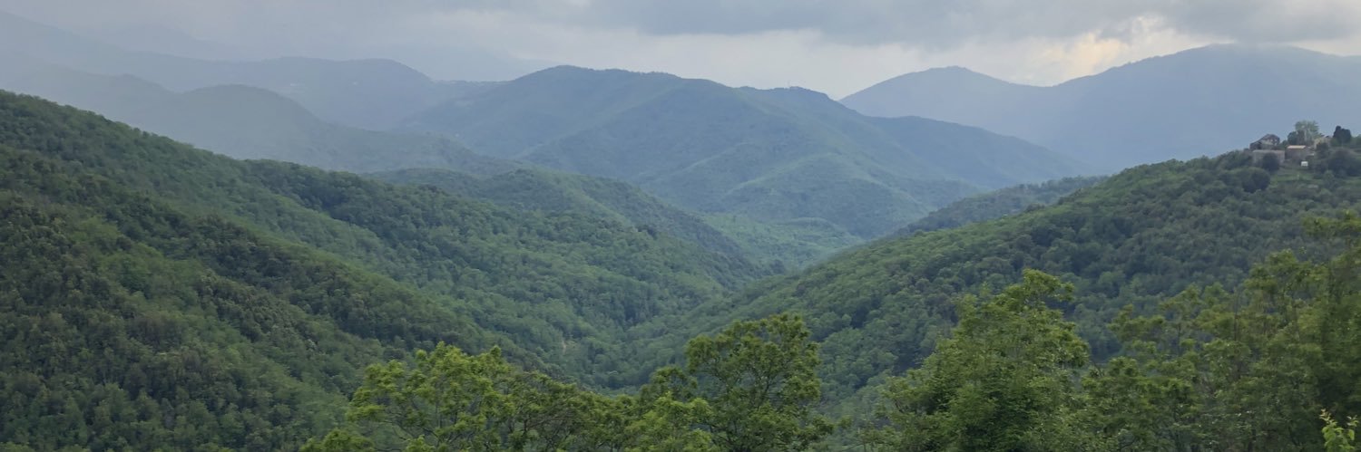 patrick vinciguerra banner