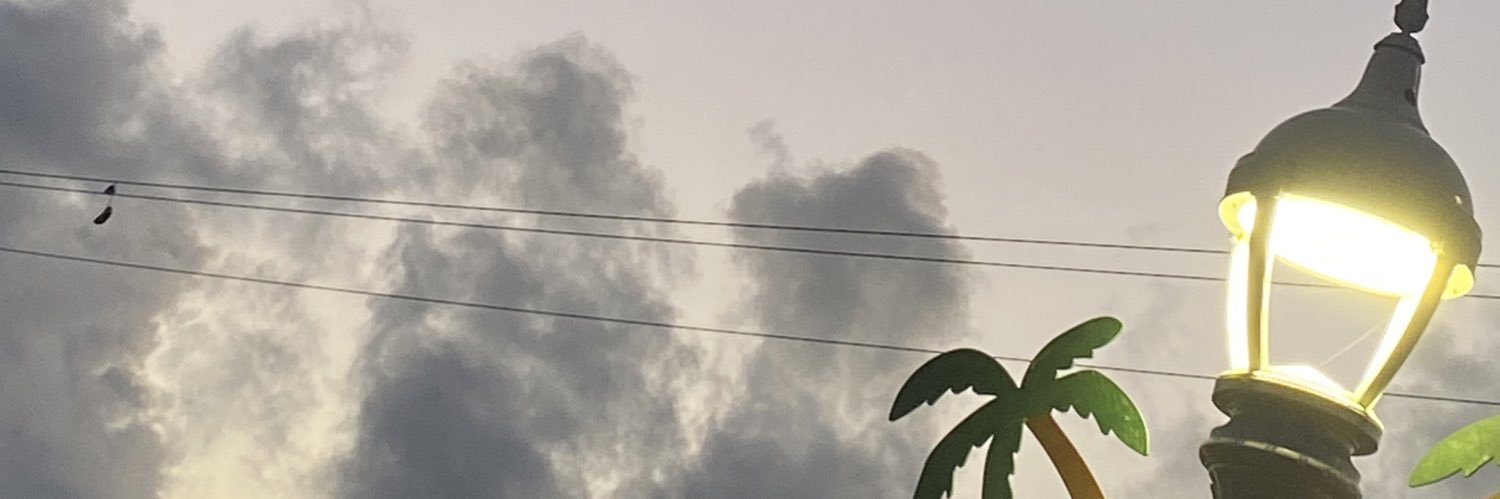 ReidSuzy's profile banner image