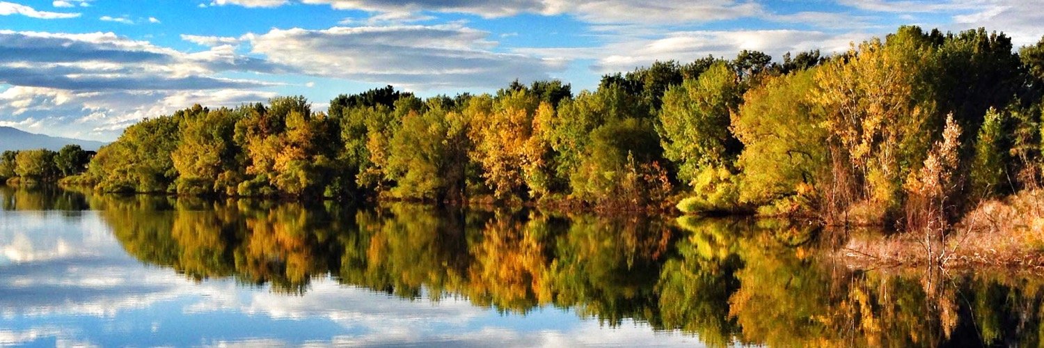 chipthomasinco's profile banner image