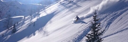 flo masnada OLY banner