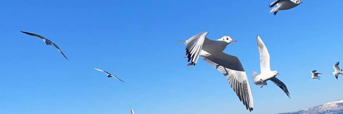a965a's profile banner image