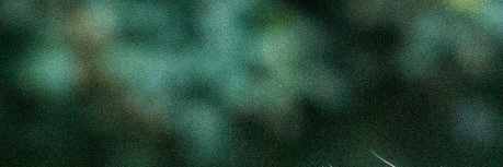 Ooseval's profile banner image