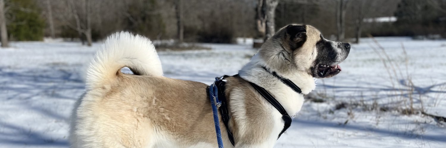 kaylarc's profile banner image