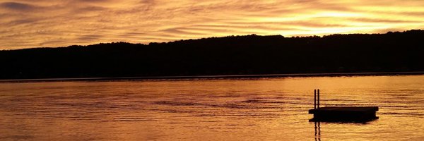 tomhals Profile Banner