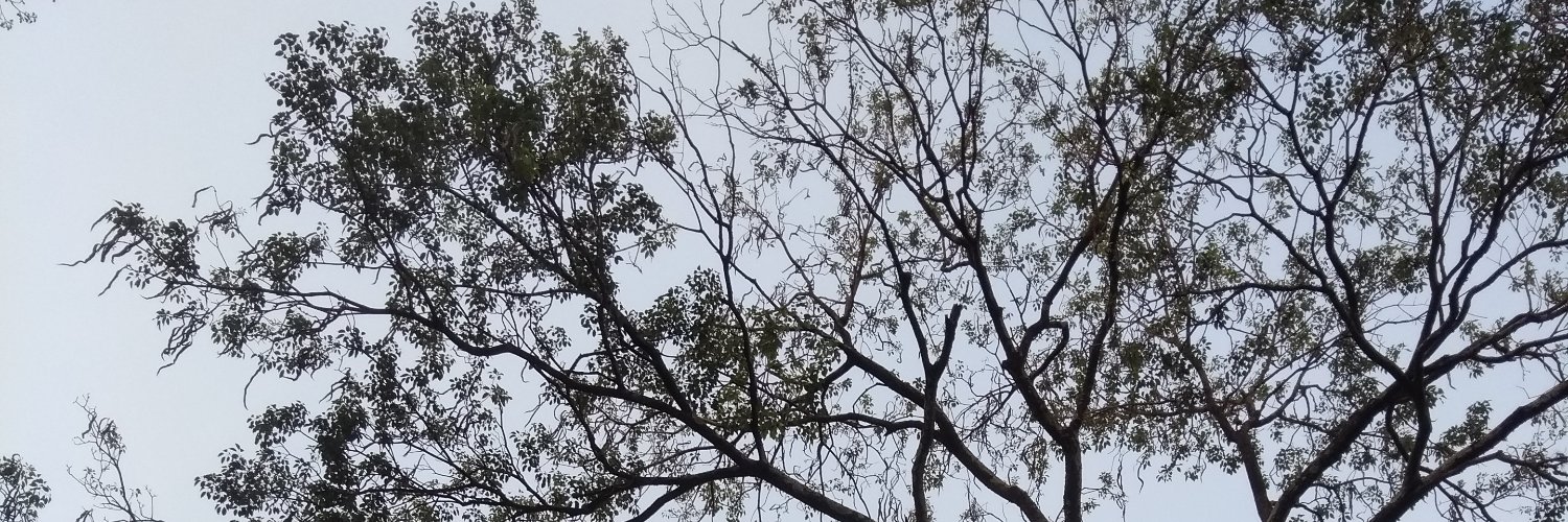 JulioBarbosa55's profile banner image