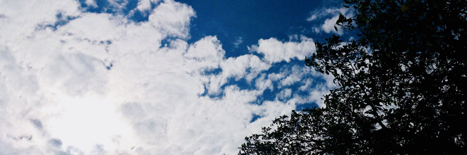 Tsukihsfw's profile banner image