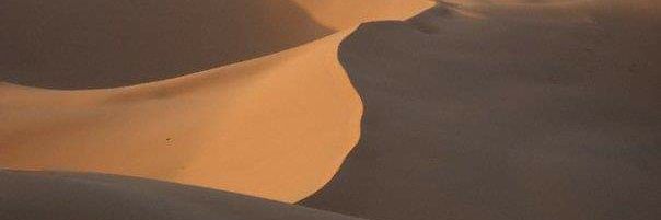 cccowen's profile banner image