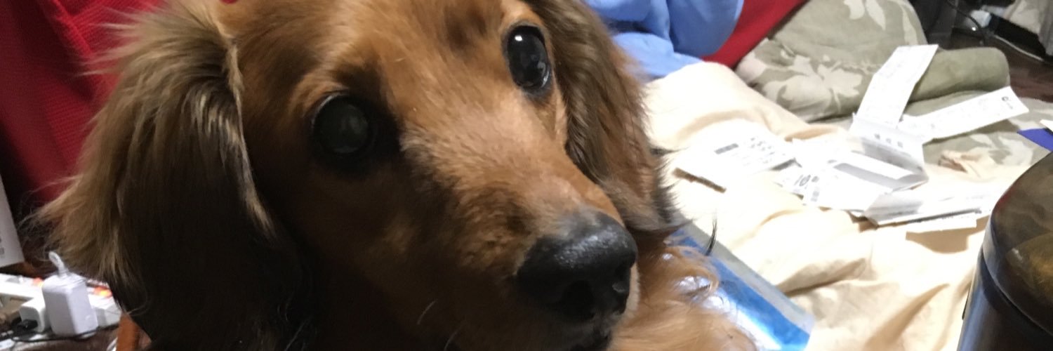 tetta218's profile banner image